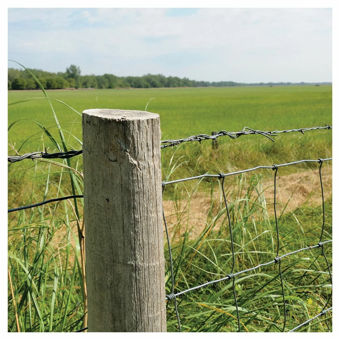 Top 10 π Hillman #9 1 LB Box Hot Dipped Galvanized Fence Staple, 461477, 1 IN π - Image 3